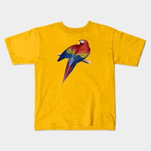 Scarlet Macaw Perched On A Branch Illustration Kids T-Shirt